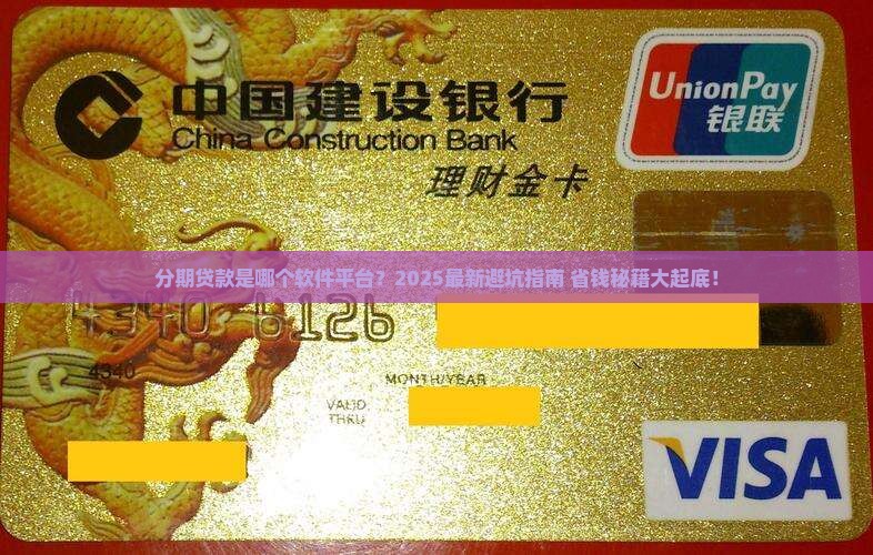 分期贷款是哪个软件平台
