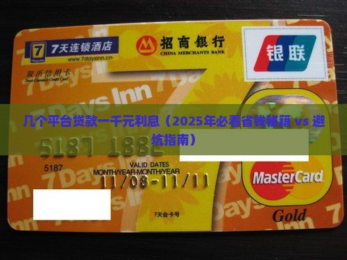 几个平台贷款一千元利息