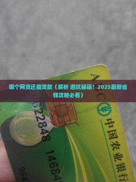 哪个网贷还能贷款
