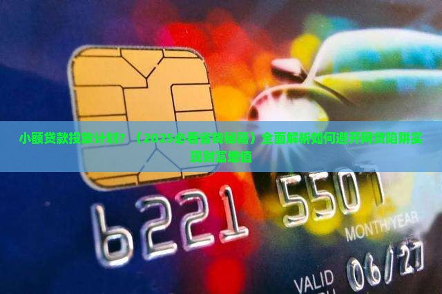 小额贷款投放计划