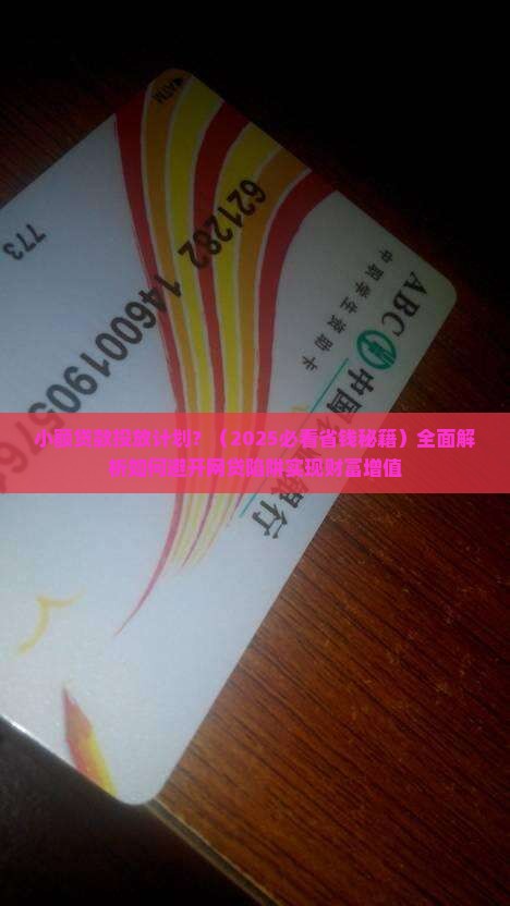 小额贷款投放计划
