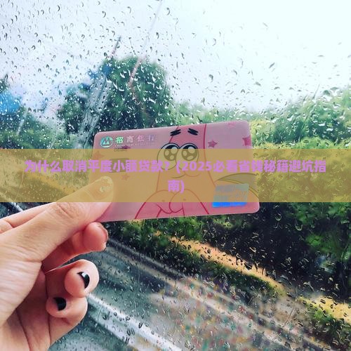 取消平度小额贷款