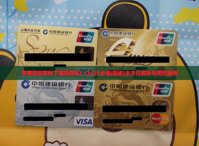 学费征信呆帐了能贷款吗