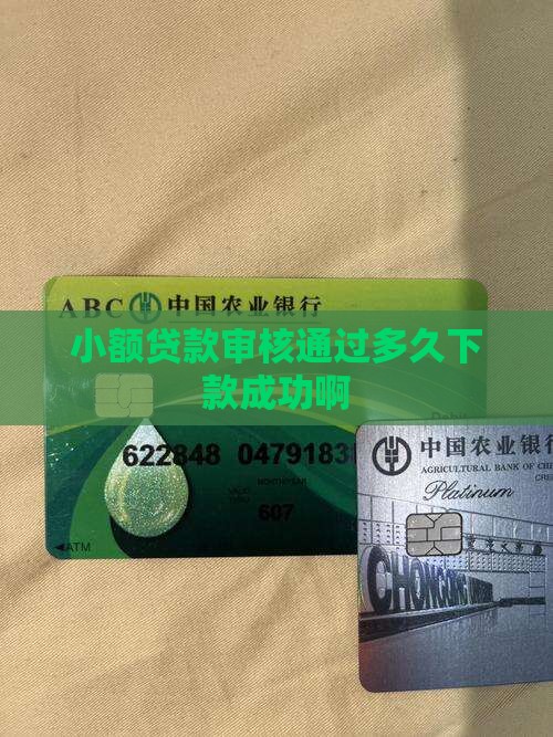小额贷款审核通过多久下款成功啊