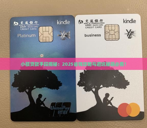 小额贷款手段