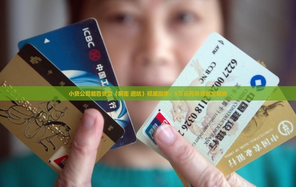 小贷公司能否贷款