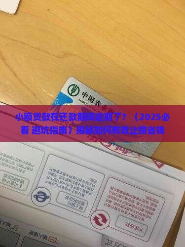 小额贷款在还款期间逾期 小额贷款在还款期间逾期