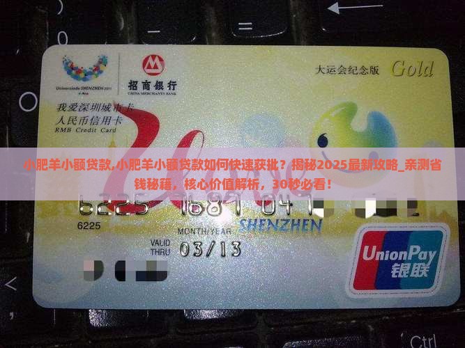 小肥羊小额贷款 小肥羊小额贷款