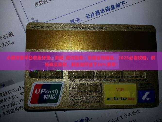 小额贷款平台收服务费