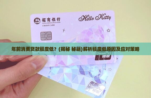 年前消费贷款额度低