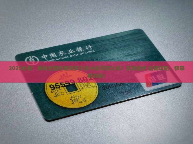 小额贷款有多少家