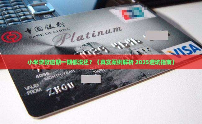 小米贷款逾期一期都没还