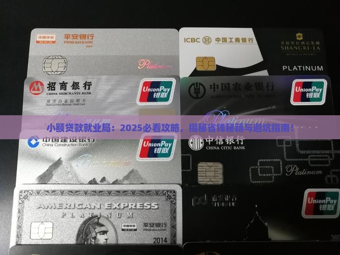 小额贷款就业局