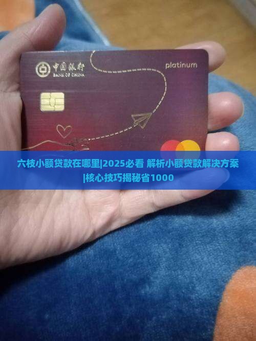 六枝小额贷款在哪里