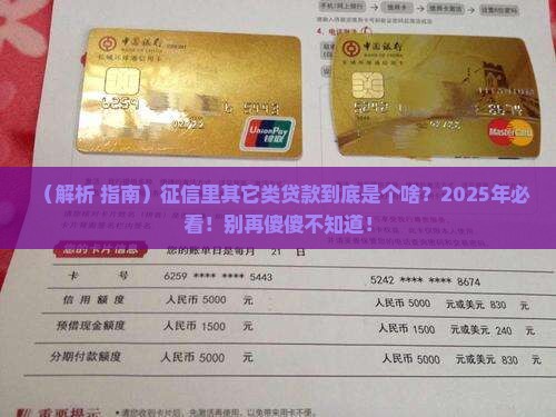 征信其它类贷款什么意思 征信其它类贷款什么意思
