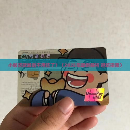 小额贷款最后不用还了
