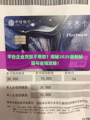 平台企业能否垫资贷款