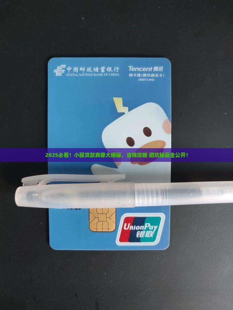 存在的小额贷款是什么