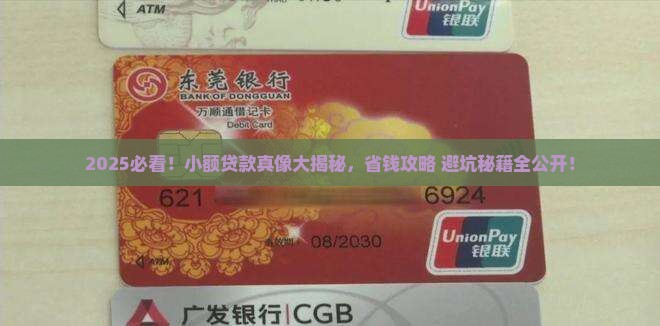 存在的小额贷款是什么