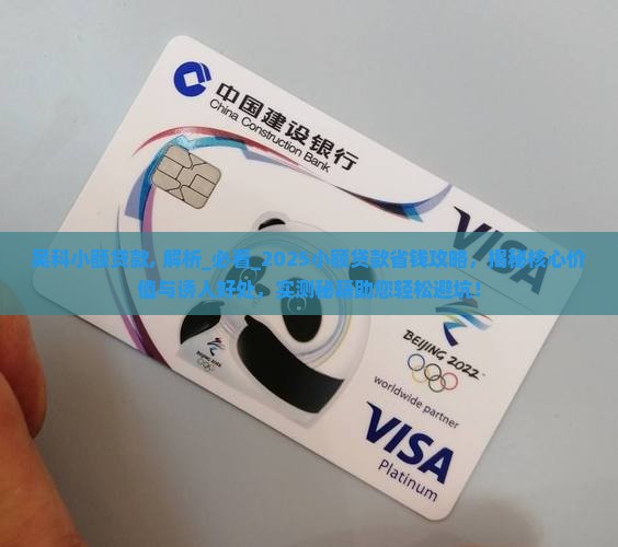 吴科小额贷款