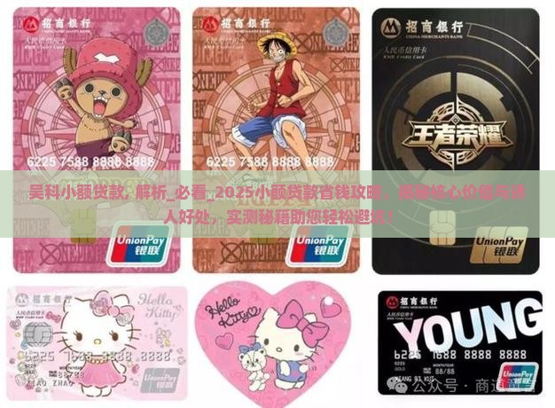 吴科小额贷款