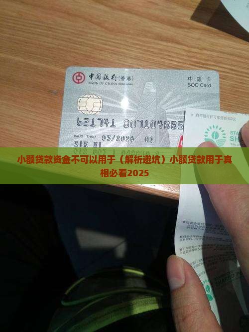 小额贷款资金不可以用来