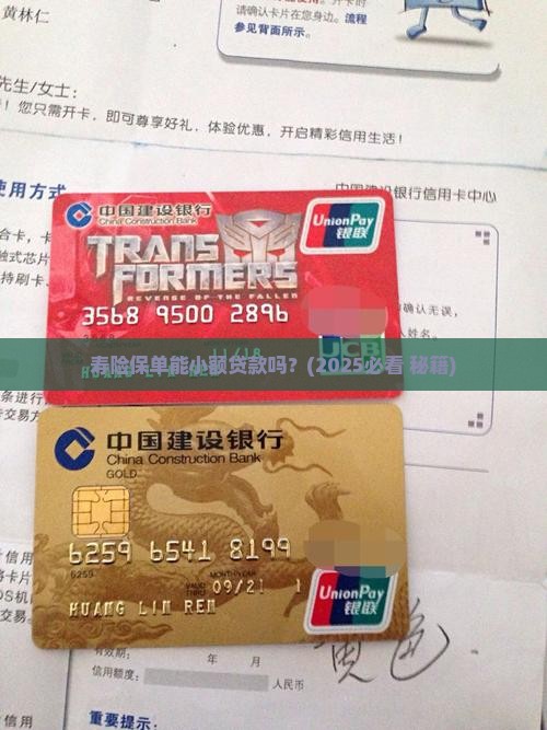 寿险保单可以小额贷款吗