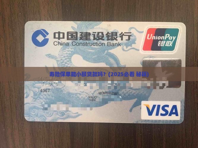 寿险保单可以小额贷款吗