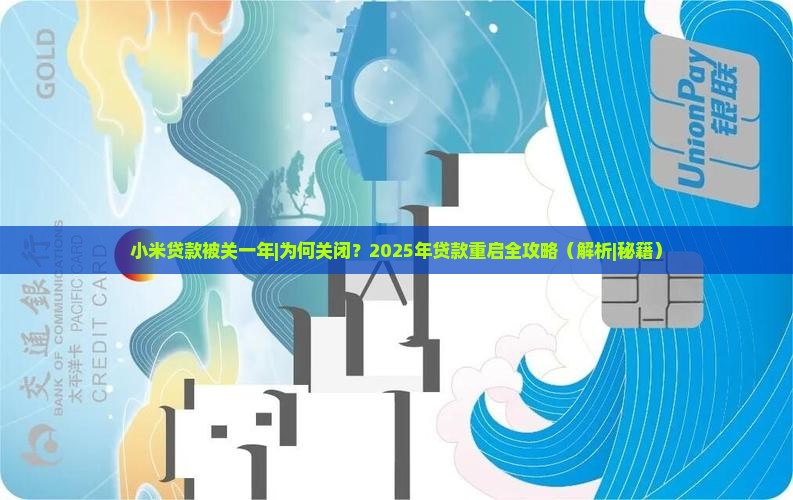 小米贷款被关一年