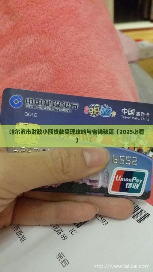 哈尔滨财政小额贷款受理