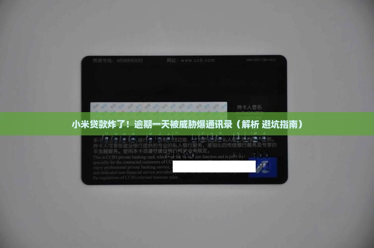 小米贷款炸了