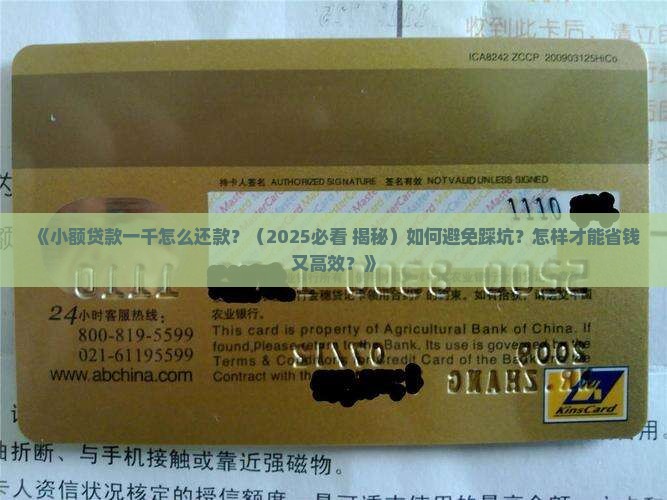 小额贷款一千怎么还款 小额贷款一千怎么还款