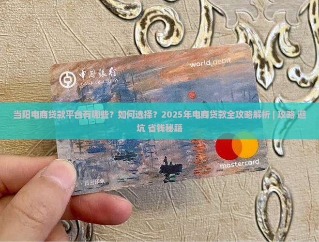 当阳电商贷款平台有哪些