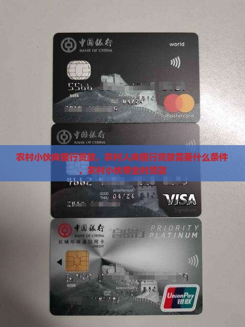 农村小伙向银行贷款