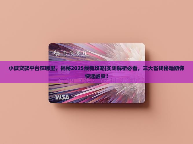 小微贷款平台在哪里