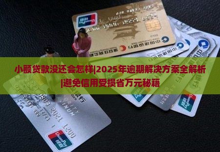 小额贷款没还会怎样
