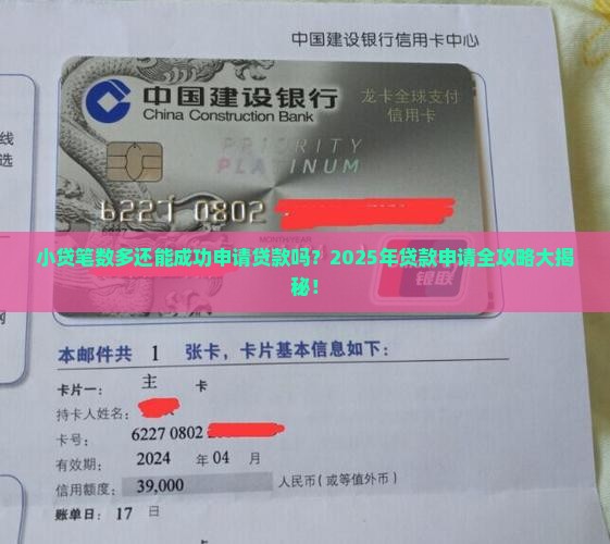 小贷笔数多还可以申请贷款吗