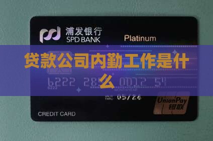 小额贷款工作内勤