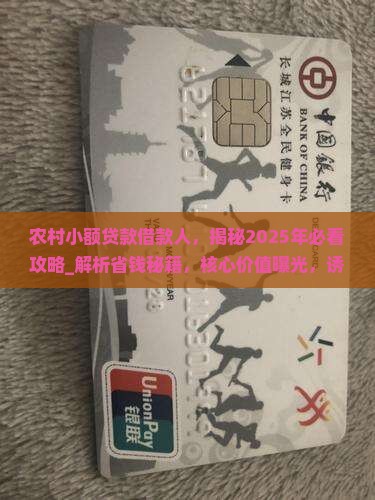农村小额贷款借款人
