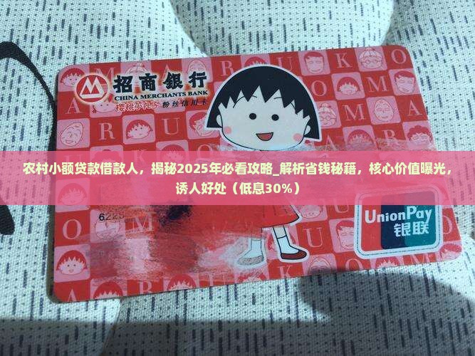 农村小额贷款借款人