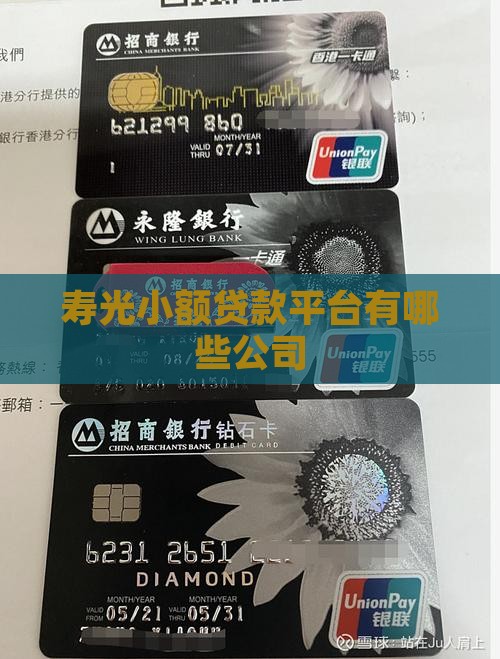 寿光小额贷款平台有哪些