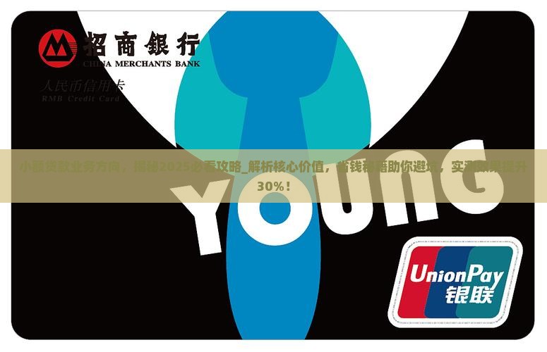 小额贷款业务方向