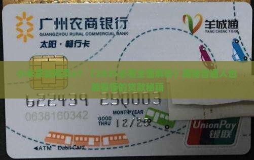 小米贷款网页e
