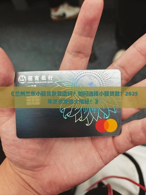 兰州兰东小额贷款