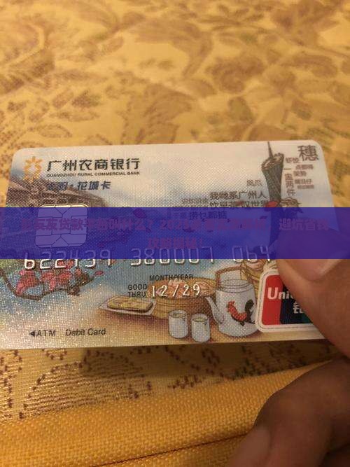 彭友友贷款平台叫什么
