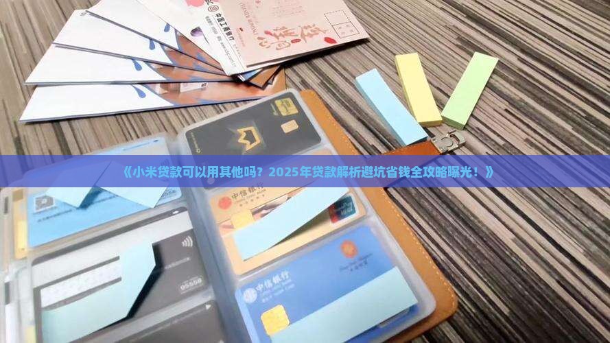 小米贷款可以用其他