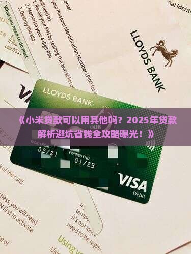 小米贷款可以用其他