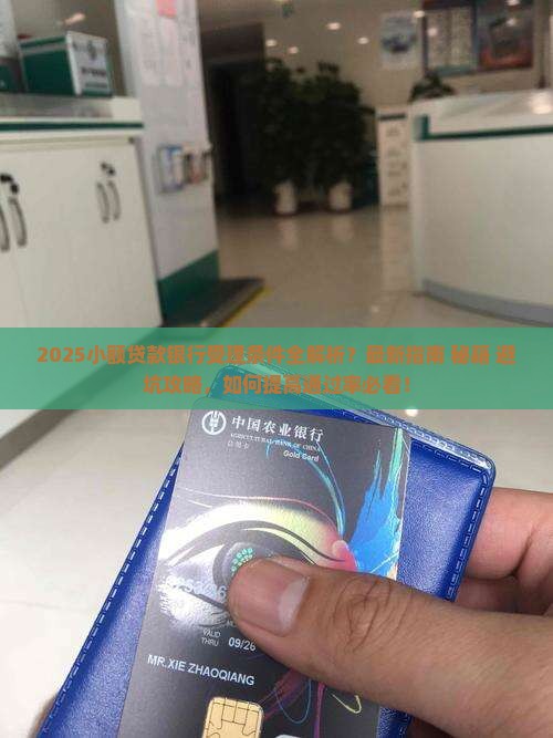 小额贷款银行受理吗