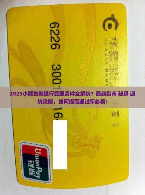 小额贷款银行受理吗