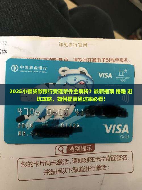 小额贷款银行受理吗